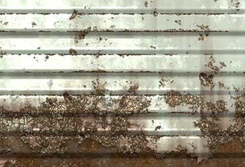 How To Fight Against Garage Door Rust Canyon Lake Tx